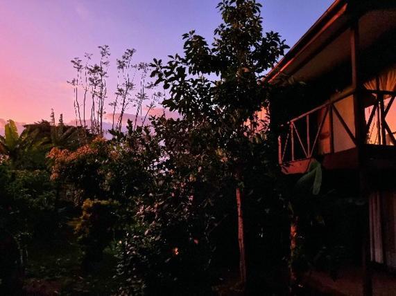 Hotel Marari Rapa Nui Hanga Roa Esterno foto