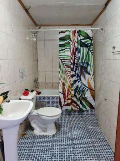 Hotel Marari Rapa Nui Hanga Roa Esterno foto